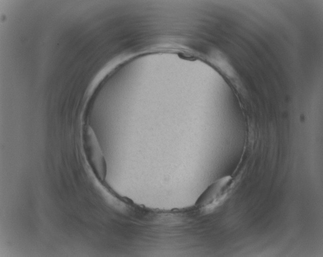 X0000081311430200702012323