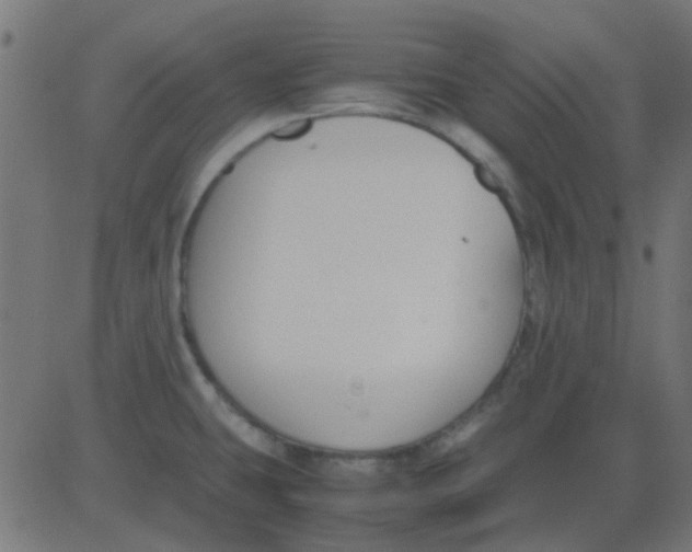 X0000081311431200702012323