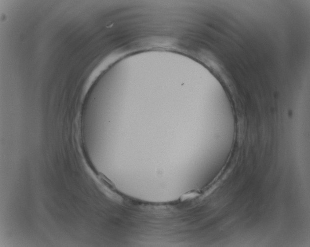 X0000081311432200702012323