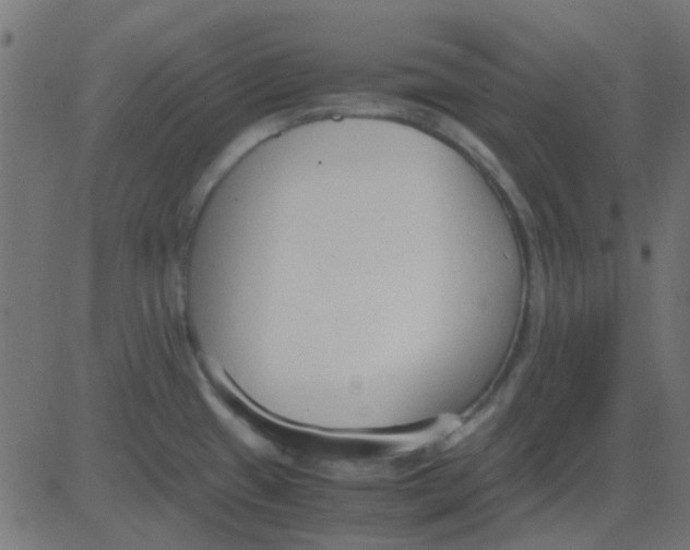 X0000081311433200702012323