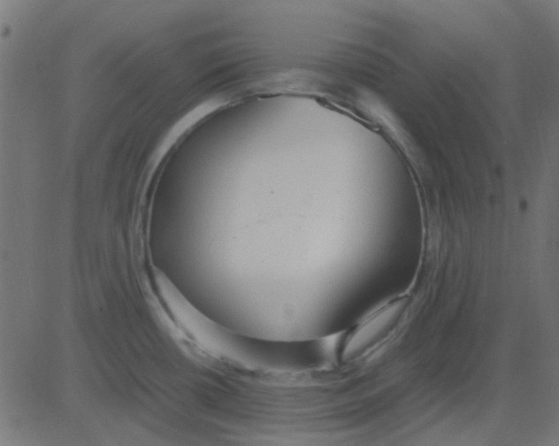 X0000081311434200702012323