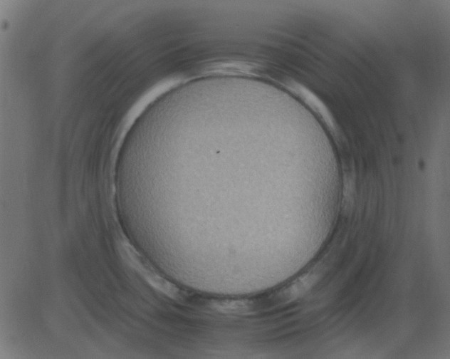 X0000081311435200702012323