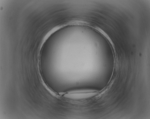 X0000081311437200702012323