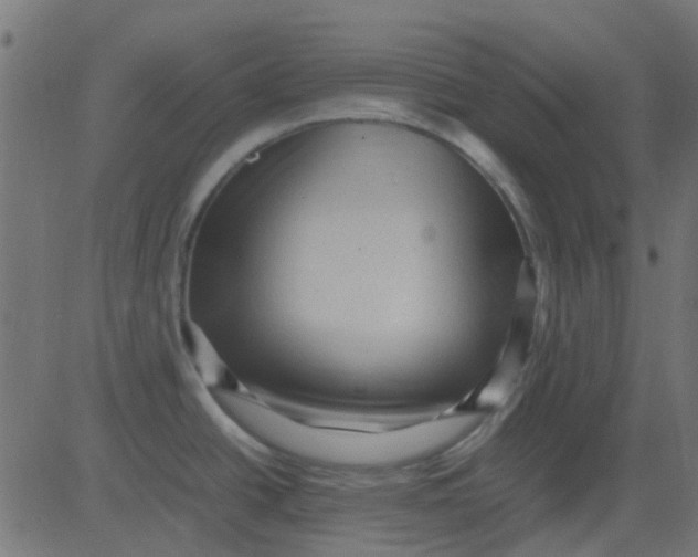 X0000081311438200702012323