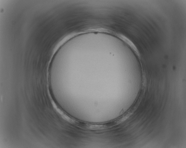 X0000081311439200702012323