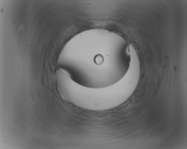 X0000081311441200702012322