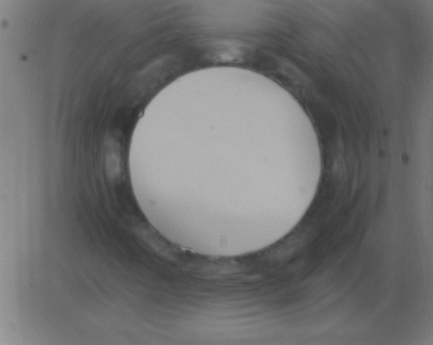 X0000081311442200702012322