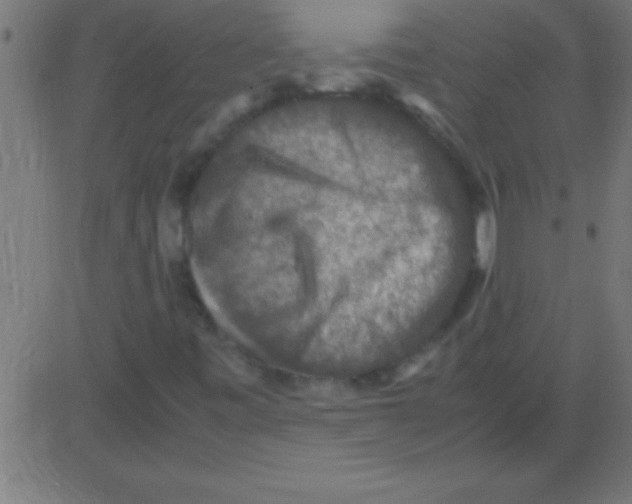 X0000081311443200702012322