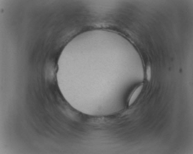 X0000081311444200702012322