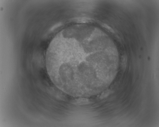 X0000081311446200702012322