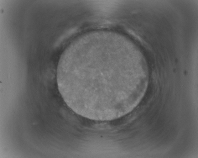 X0000081311447200702012322