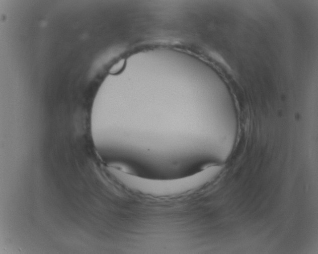 X0000081311448200702012322