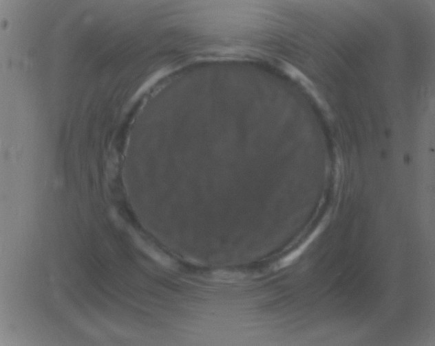 X0000081311449200702012322