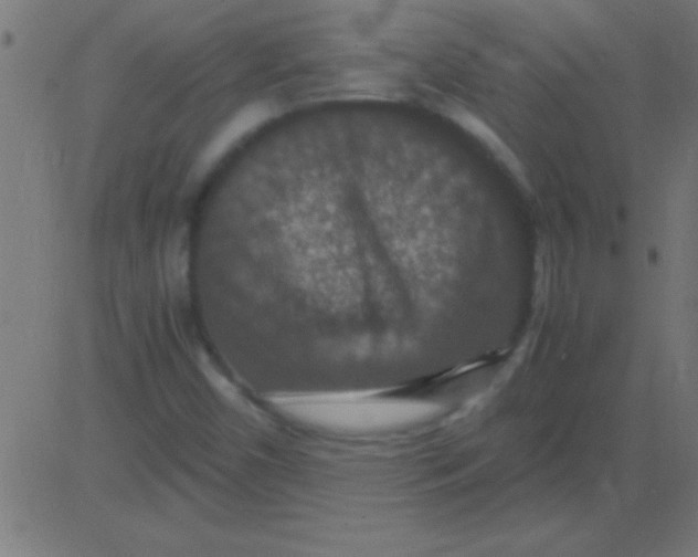 X0000081311450200702012322