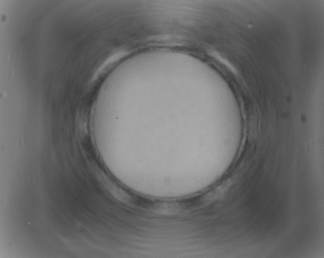 X0000081311451200702012322