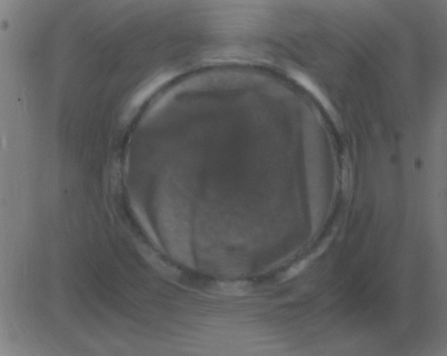 X0000081311453200702012322