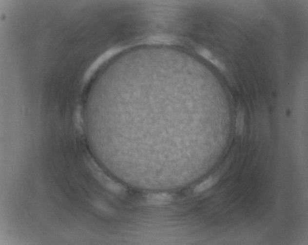 X0000081311454200702012322