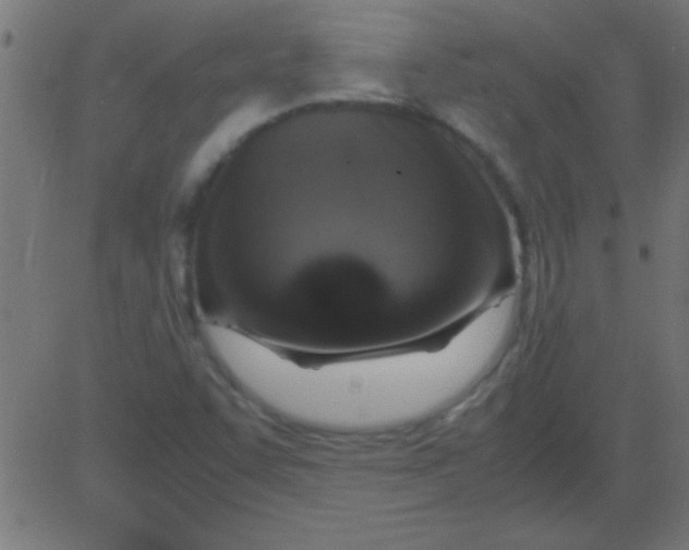 X0000081311455200702012322