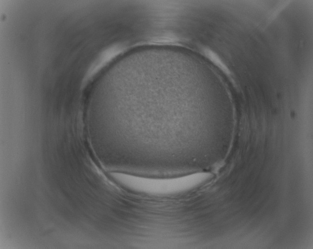 X0000081311456200702012322