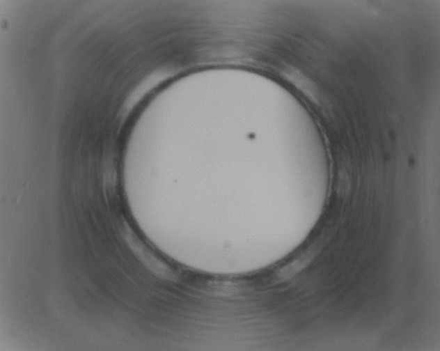 X0000081311458200702012322