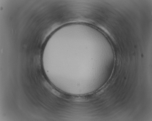 X0000081311460200702012322