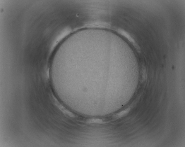 X0000081311462200702012322