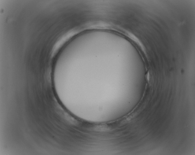 X0000081311464200702012322