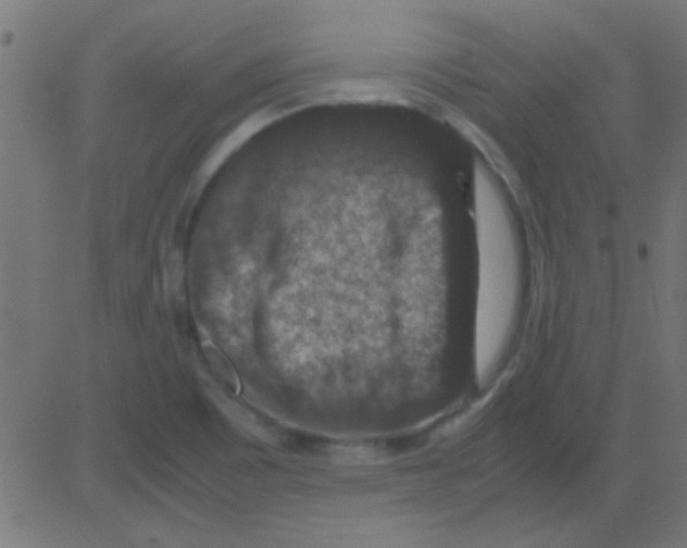 X0000081311465200702012322