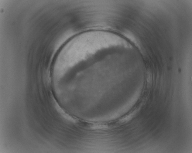 X0000081311466200702012322