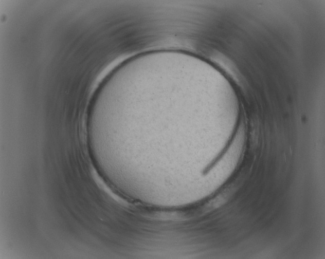 X0000081311468200702012322