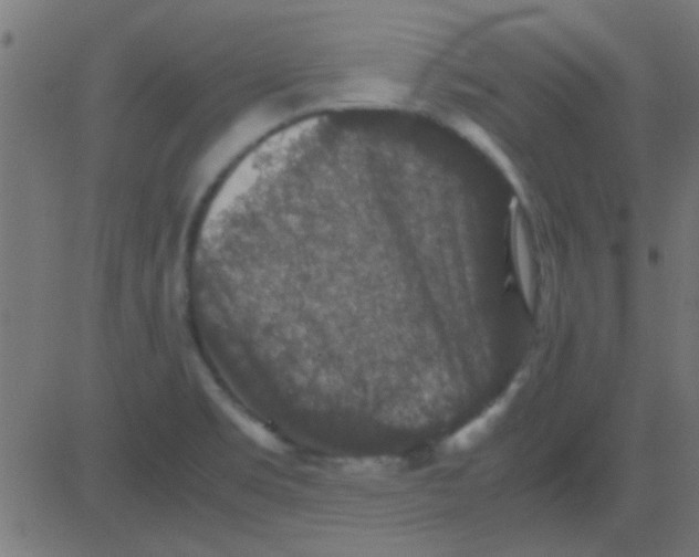 X0000081311469200702012322