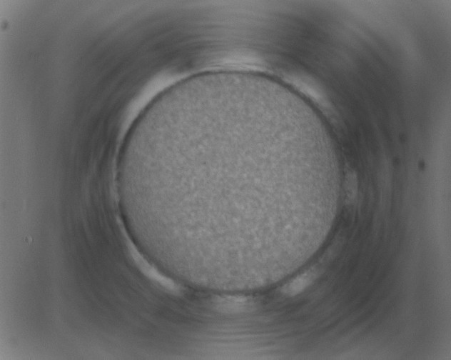 X0000081311470200702012322