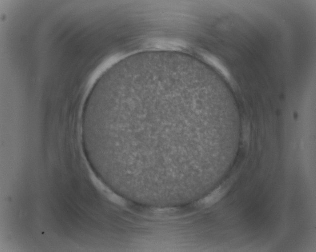 X0000081311471200702012322