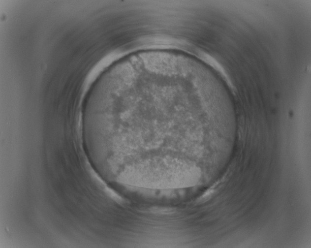 X0000081311472200702012322