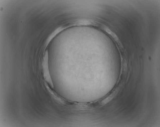 X0000081311473200702012322