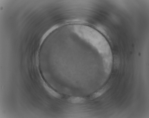 X0000081311474200702012322