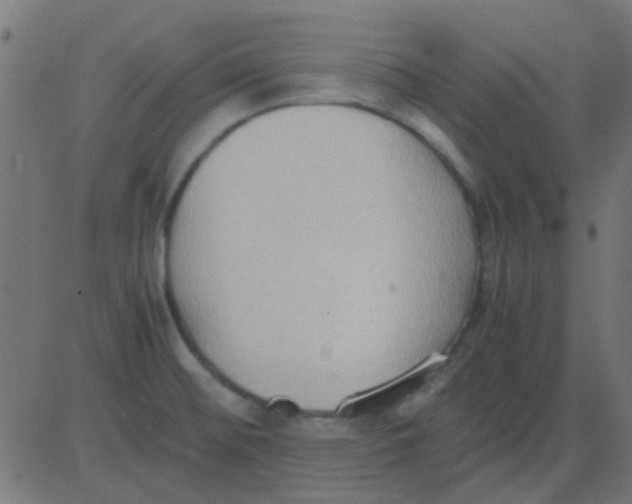 X0000081311476200702012322