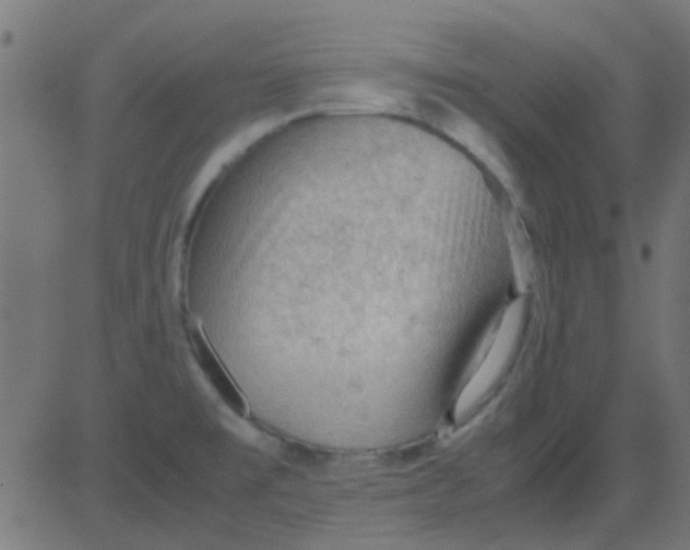 X0000081311477200702012322