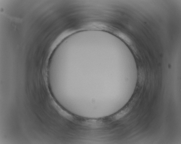 X0000081311478200702012322