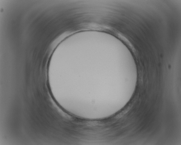 X0000081311479200702012322