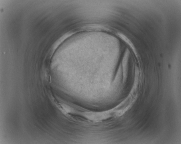 X0000081311481200702012322