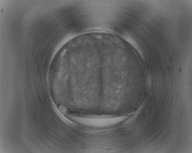 X0000081311482200702012322