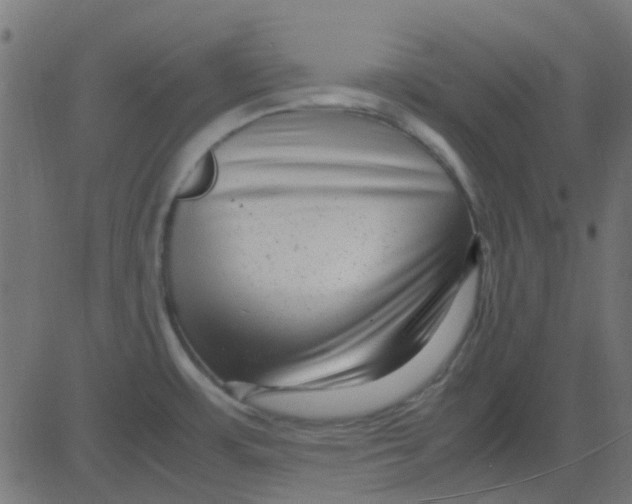 X0000081311483200702012322