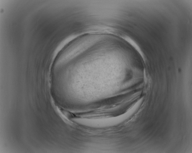 X0000081311485200702012322