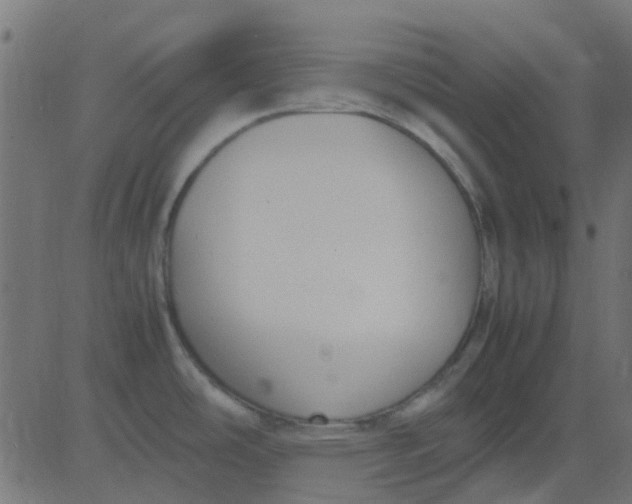 X0000081311486200702012322