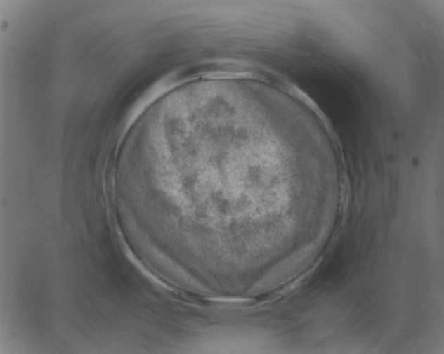 X0000081311487200702012322