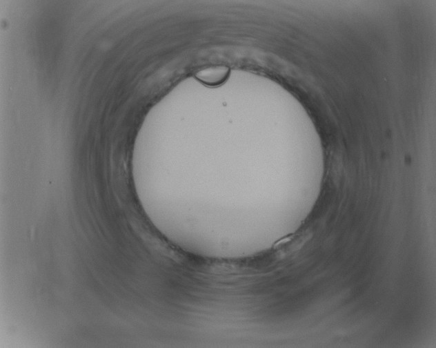 X0000081311489200702012321