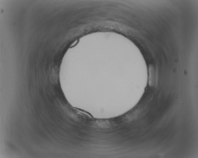 X0000081311491200702012321