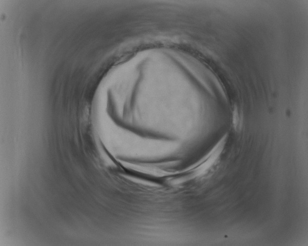 X0000081311492200702012321