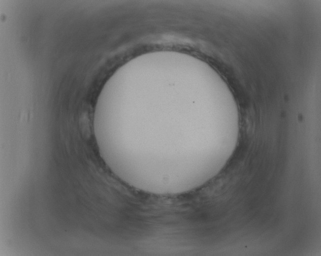 X0000081311493200702012321